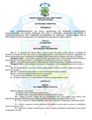 CAMARAMUNICIPALDECAMPOMAIORESTADODOPIAUILEIORGANICAMUNICIPALPREAMBULO-1.jpg
